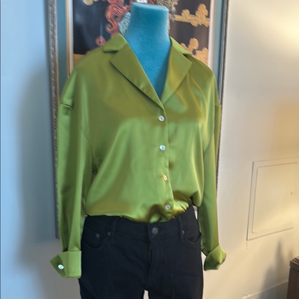 Elegant Green shimmery blouse.